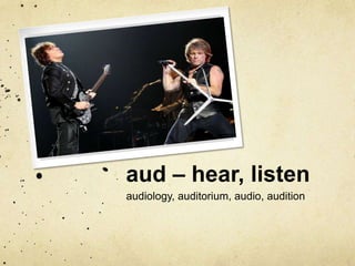 aud – hear, listen
audiology, auditorium, audio, audition

 