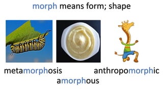 Greek Roots Powerpoint (1).pptx