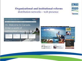   Organizational and institutional reforms distribution networks - web presence  