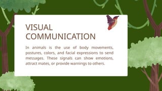 Non-human communication -Presentation.pptx