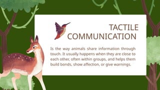 Non-human communication -Presentation.pptx