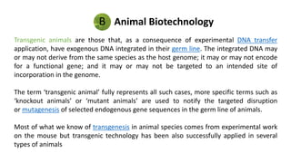 B Animal Biotechnology
Transgenic animals are those that, as a consequence of experimental DNA transfer
application, have exogenous DNA integrated in their germ line. The integrated DNA may
or may not derive from the same species as the host genome; it may or may not encode
for a functional gene; and it may or may not be targeted to an intended site of
incorporation in the genome.
The term ‘transgenic animal’ fully represents all such cases, more specific terms such as
‘knockout animals’ or ‘mutant animals’ are used to notify the targeted disruption
or mutagenesis of selected endogenous gene sequences in the germ line of animals.
Most of what we know of transgenesis in animal species comes from experimental work
on the mouse but transgenic technology has been also successfully applied in several
types of animals
 
