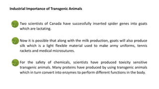 Two scientists of Canada have successfully inserted spider genes into goats
which are lactating.
Now it is possible that along with the milk production, goats will also produce
silk which is a light flexible material used to make army uniforms, tennis
rackets and medical microsutures.
For the safety of chemicals, scientists have produced toxicity sensitive
transgenic animals. Many proteins have produced by using transgenic animals
which in turn convert into enzymes to perform different functions in the body.
Industrial Importance of Transgenic Animals
 