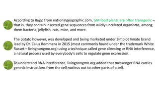 According to Rupp from nationalgeographic.com, GM food plants are often transgenic –
that is, they contain inserted gene sequences from wildly unrelated organisms, among
them bacteria, jellyfish, rats, mice, and more.
The potato however, was developed and being marketed under Simplot Innate brand
lead by Dr. Caius Rommens in 2015 (most commonly found under the trademark White
Russet – livingnongmo.org) using a technique called gene silencing or RNA interference,
a natural process used by everybody’s cells to regulate gene expression.
To understand RNA interference, livingnongmo.org added that messenger RNA carries
genetic instructions from the cell nucleus out to other parts of a cell.
 