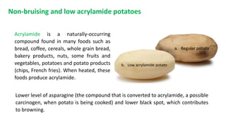 Non-bruising and low acrylamide potatoes
Acrylamide is a naturally-occurring
compound found in many foods such as
bread, coffee, cereals, whole grain bread,
bakery products, nuts, some fruits and
vegetables, potatoes and potato products
(chips, French fries). When heated, these
foods produce acrylamide.
a. Regular potato
b. Low acrylamide potato
Lower level of asparagine (the compound that is converted to acrylamide, a possible
carcinogen, when potato is being cooked) and lower black spot, which contributes
to browning.
 