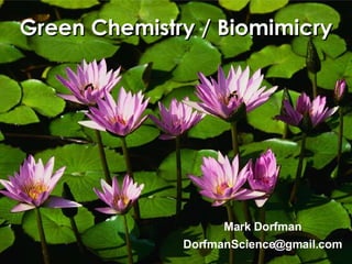 Green Chemistry / Biomimicry [email_address] Mark Dorfman 
