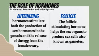 HORMONES AND ITS ROLES IN THE HUMAN REPRODUCTIVE SYSTEM | PDF