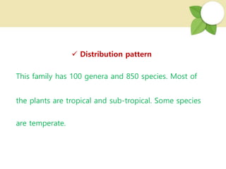  Distribution pattern
This family has 100 genera and 850 species. Most of
the plants are tropical and sub-tropical. Some species
are temperate.
 