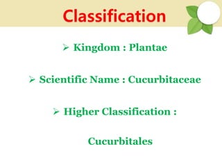  Kingdom : Plantae
 Scientific Name : Cucurbitaceae
 Higher Classification :
Cucurbitales
Classification
 