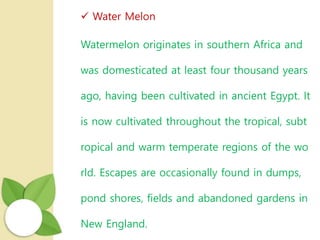  Water Melon
Watermelon originates in southern Africa and
was domesticated at least four thousand years
ago, having been cultivated in ancient Egypt. It
is now cultivated throughout the tropical, subt
ropical and warm temperate regions of the wo
rld. Escapes are occasionally found in dumps,
pond shores, fields and abandoned gardens in
New England.
 