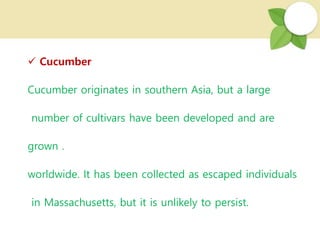  Cucumber
Cucumber originates in southern Asia, but a large
number of cultivars have been developed and are
grown .
worldwide. It has been collected as escaped individuals
in Massachusetts, but it is unlikely to persist.
 