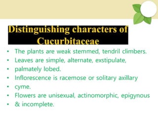 • The plants are weak stemmed, tendril climbers.
• Leaves are simple, alternate, exstipulate,
• palmately lobed.
• Inflorescence is racemose or solitary axillary
• cyme.
• Flowers are unisexual, actinomorphic, epigynous
• & incomplete.
 