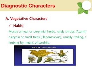Diagnostic Characters
 Habit:
Mostly annual or perennial herbs, rarely shrubs (Acanth
osicyos) or small trees (Dendrosicyos), usually trailing, c
limbing by means of tendrils.
`
A. Vegetative Characters
 