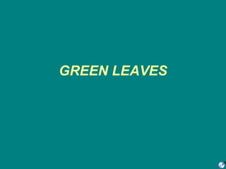 GREEN LEAVES 