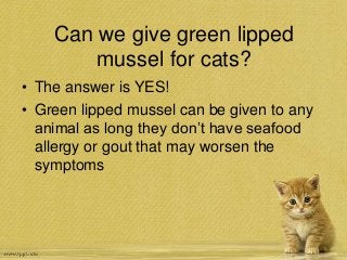 Can we give green lipped
mussel for cats?
• The answer is YES!
• Green lipped mussel can be given to any
animal as long they don’t have seafood
allergy or gout that may worsen the
symptoms
 