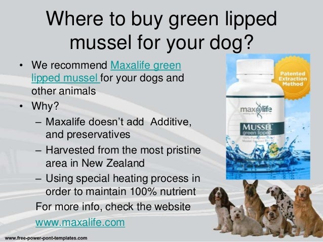 best green lipped mussel supplement for dogs