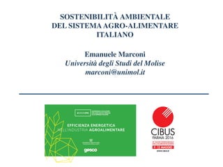 SOSTENIBILITÀ AMBIENTALE
DEL SISTEMAAGRO-ALIMENTARE
ITALIANO
Emanuele Marconi
Università degli Studi del Molise
marconi@unimol.it
 