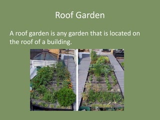 Roof Garden
A roof garden is any garden that is located on
the roof of a building.
 