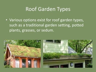 Roof Garden Types
• Various options exist for roof garden types,
such as a traditional garden setting, potted
plants, grasses, or sedum.
 