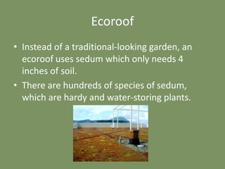 Ecoroof
• Instead of a traditional-looking garden, an
ecoroof uses sedum which only needs 4
inches of soil.
• There are hundreds of species of sedum,
which are hardy and water-storing plants.
 