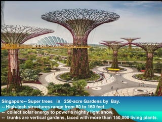 Singapore-- Super trees in 250-acre Gardens by Bay.
-- High-tech structures range from 80 to 160 feet
-- collect solar energy to power a nightly light show.
-- trunks are vertical gardens, laced with more than 150,000 living plants.
 