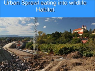 Urban Sprawl eating into wildlife
Habitat
 
