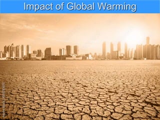 Impact of Global Warming
 
