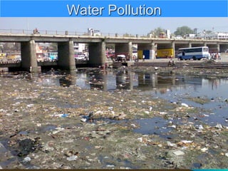 Water Pollution
 
