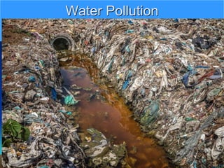 Water Pollution
 