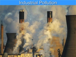 Industrial Pollution
 
