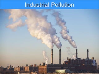 Industrial Pollution
 