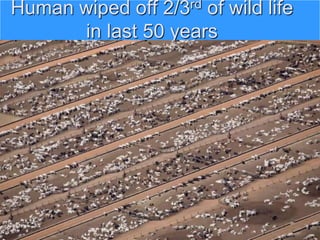 Human wiped off 2/3rd of wild life
in last 50 years
 
