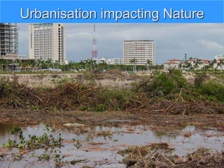 Urbanisation impacting Nature
 
