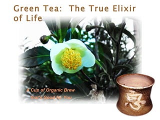 Green Tea:  The True Elixir of Life A Cup of Organic Brew  that's Good for You 