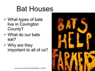 Bat Houses What types of bats live in Covington County? What do our bats eat? Why are they important to all of us? www.flickr.com/photos/51035555243@N01/112370807 