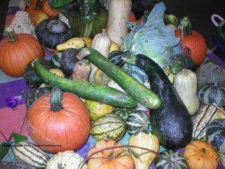 Photographer:  Mary Cantlin Pica4Learning 