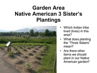 Which Indian tribe lived (lives) in this area? What does planting the “Three Sisters” mean? Are there other items we should plant in our Native American garden?  Garden Area Native American 3 Sister’s Plantings 
