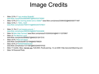 Image Credits  Slide 12 Pic 1 ' I spy another Butterfly '  www.flickr.com/photos/68008857@N00/525735562 Slide 12 Pic 2 The morning stretch and a nibble!" ' www.flickr.com/photos/23084352@N00/500771487  Slide 13 Pic 1 : ' DSC_1034 '  www.flickr.com/photos/70097310@N00/2557079831 Slide 13  Pic 2 ' Just hanging around... '  www.flickr.com/photos/34653535@N00/704444656 Slide 14  Bats Help Farmers ' www.flickr.com/photos/51035555243@N01/112370807  Slide 15  The Memory Lane '  www.flickr.com/photos/8088927@N06/2512817215  Slide 16 Pic 1 Red and black '  www.flickr.com/photos/80122196@N00/789024  Slide 16 Pic 2' TRANSPARENCIAS '  www.flickr.com/photos/11211587@N03/2449747432 Slide 17 Cantlin, Mary.  harvest. jpg . Fall 2005. Pics4Learning. 12 Jul 2008 <http://pics.tech4learning.com Slide 18 Personal Photo 