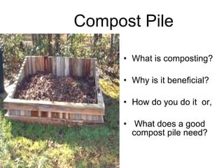 Compost Pile What is composting? Why is it beneficial? How do you do it  or, What does a good compost pile need? 