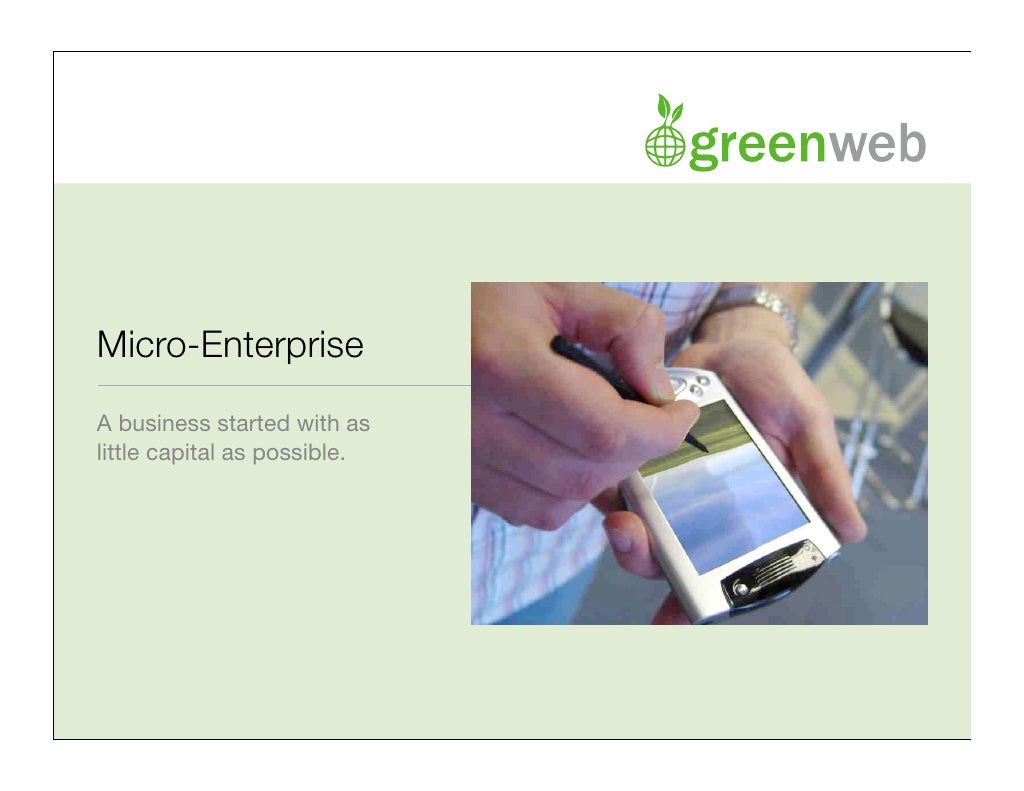 MicroEnterprise A business started with