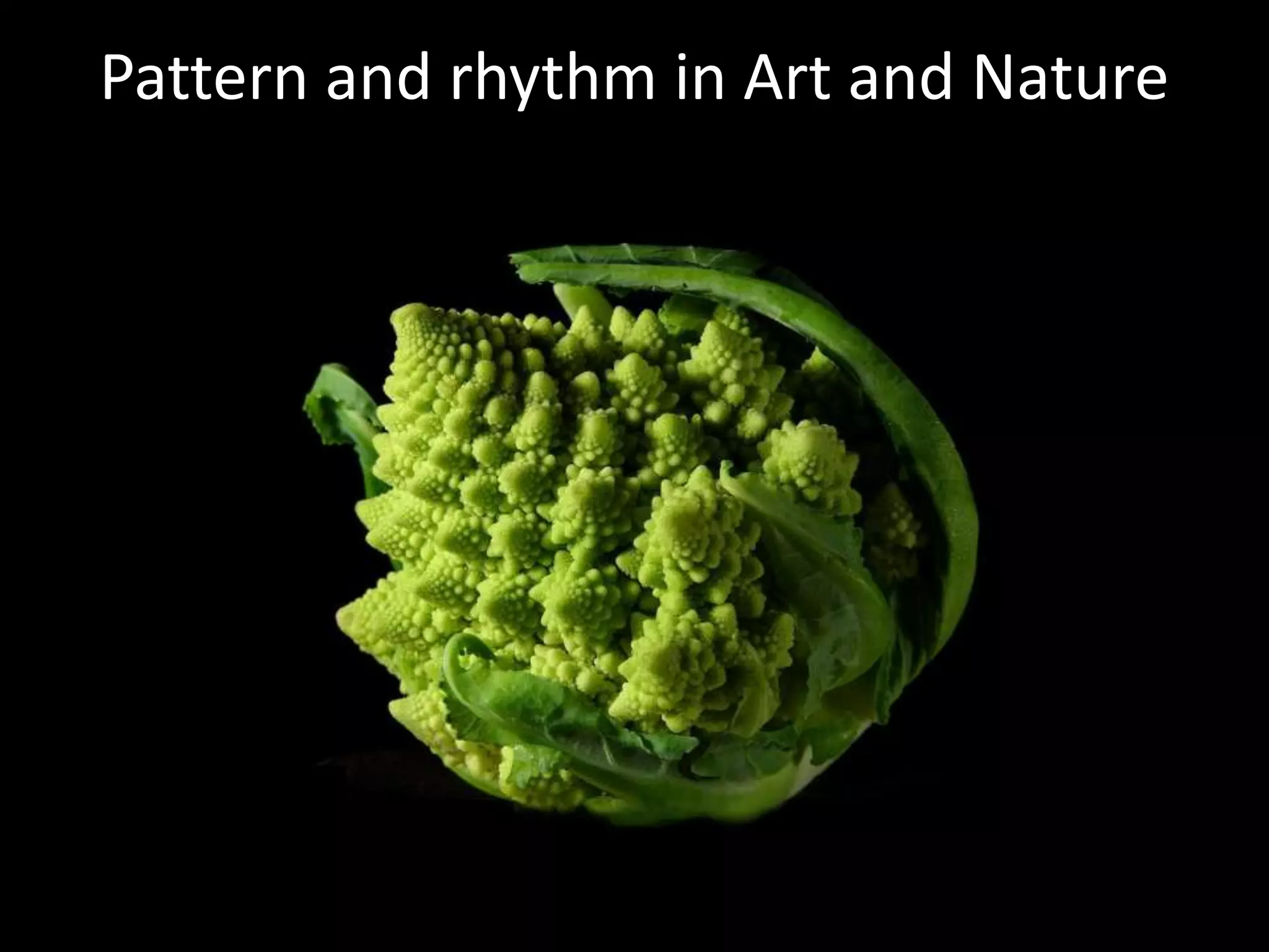 Pattern and rhythm in Art and Nature
 
