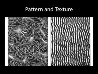 Pattern and Texture
 