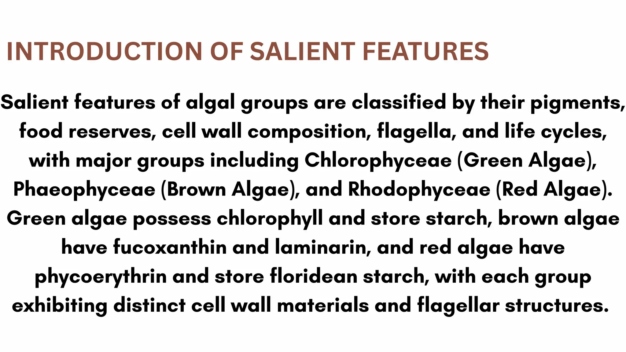 Sailent features of different groups of algae | PDF