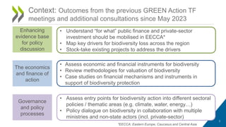 2
Context: Outcomes from the previous GREEN Action TF
meetings and additional consultations since May 2023
• Understand “for what” public finance and private-sector
investment should be mobilised in EECCA*
• Map key drivers for biodiversity loss across the region
• Stock-take existing projects to address the drivers
The economics
and finance of
action
• Assess entry points for biodiversity action into different sectoral
policies / thematic areas (e.g. climate, water, energy…)
• Policy dialogue on biodiversity in collaboration with multiple
ministries and non-state actors (incl. private-sector)
• Assess economic and financial instruments for biodiversity
• Review methodologies for valuation of biodiversity
• Case studies on financial mechanisms and instruments in
support of biodiversity protection
Enhancing
evidence base
for policy
discussion
Governance
and policy
processes
*EECCA: Eastern Europe, Caucasus and Central Asia
 