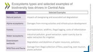 Ecosystems types and selected examples of
biodiversity loss drivers in Central Asia
Natural pasture Impacts of overgrazing and associated soil degradation
Forests Overexploitation, wildfires, illegal logging, costs of reforestation
Water ecosystems
Industrial pollution, gravel extraction, water scarcity due to
water extraction for irrigation
Downstream
wetlands
Degradation and depletion of water resources, pollution,
Alpine ecosystems Damages from mining activities and infrastructure development
Wild flora and fauna
Damage from illegal collection of flora, poaching, over-tourism,
plastic pollution
Type Selected Examples
Source:
Novikov
&
Kato
(forthcoming)
Key
drivers
for
biodiversity
loss
and
financing
conservation
in
Central
Asia
(Preliminary
findings
-
Not
for
citation)
 