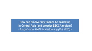 How can biodiversity finance be scaled up
in Central Asia (and broader EECCA region)?
- Insights from GATF brainstorming (Oct 2023) -
 