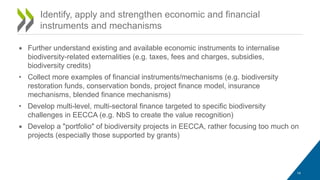 • Further understand existing and available economic instruments to internalise
biodiversity-related externalities (e.g. taxes, fees and charges, subsidies,
biodiversity credits)
• Collect more examples of financial instruments/mechanisms (e.g. biodiversity
restoration funds, conservation bonds, project finance model, insurance
mechanisms, blended finance mechanisms)
• Develop multi-level, multi-sectoral finance targeted to specific biodiversity
challenges in EECCA (e.g. NbS to create the value recognition)
• Develop a "portfolio" of biodiversity projects in EECCA, rather focusing too much on
projects (especially those supported by grants)
Identify, apply and strengthen economic and financial
instruments and mechanisms
14
 