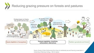 Reducing grazing pressure on forests and pastures
Source: Novikov & Kato (forthcoming) Key drivers for biodiversity loss and financing conservation in
Central Asia (Preliminary findings - Not for citation)
 