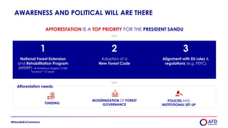 AWARENESS AND POLITICAL WILL ARE THERE
AFFORESTATION IS A TOP PRIORITY FOR THE PRESIDENT SANDU
1 2 3
National Forest Extension
and Rehabilitation Program
(NFERP)  Ambitious targets:15 000
ha/year * 10 years
Adoption of a
New Forest Code
Alignment with EU rules &
regulations (e.g. PEFC)
Afforestation needs:
FUNDING
MODERNIZATION OF FOREST
GOVERNANCE
POLICIES AND
INSTITUTIONAL SET-UP
 