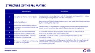 STRUCTURE OF THE PBL MATRIX
Reform Pillar Description
1 Adoption of the new Forest Code
Modernization – and alignment with EU standards and regulations – of key
legislation governing forestry activities in Moldova
2 Institutional Reform
Restructuring of forest-related Departments and public institutions overseen
by the Ministry of Environment
3
Promotion of biodiversity, carbon
capture and adaptation to climate
change
Development of key plans and programmes to promote environmentally
sound forestry practices aligned with EU standards and regulations
4
Promotion of sustainable forest-
based economic development
Support the creation of an enabling environment for the growth of
economic activities in the forest value chain
5
Implementation of the National
Afforestation Programme
Define the conditions for the operational implementation of the
afforestation plan
6
Enhancement of national capacity
in forest management
Academic collaboration with European institutions. Develop professionals'
and students’ capacity to address changing conditions (e.g. climate
change, EU standards).
 